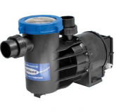 Bomba 1/3 cv com Pré-Filtro para Piscina | - 220V